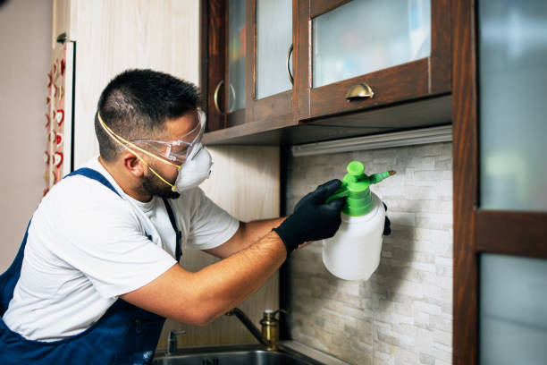Best Cockroach Control Services  in Jacinto City, TX