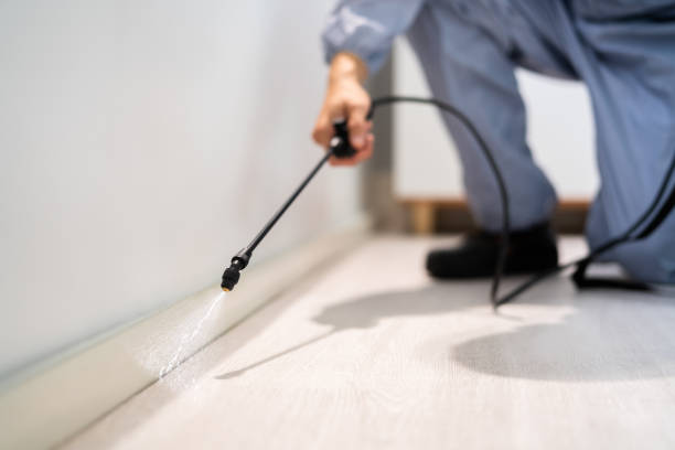 Professional Pest Control in Jacinto City, TX