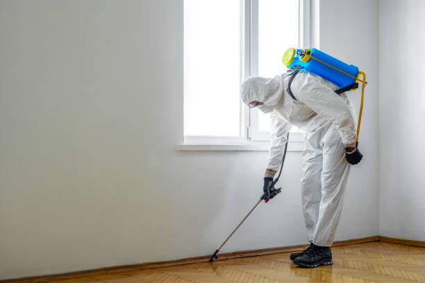 Best Insect Control  in Jacinto City, TX