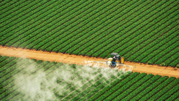 Best Insect Control  in Jacinto City, TX
