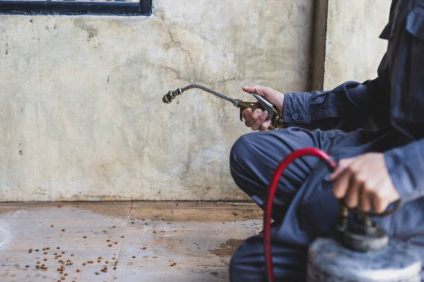 Best Pest Inspection Near Me  in Jacinto City, TX