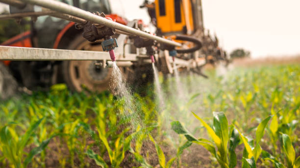 Professional Pest Control in Jacinto City, TX